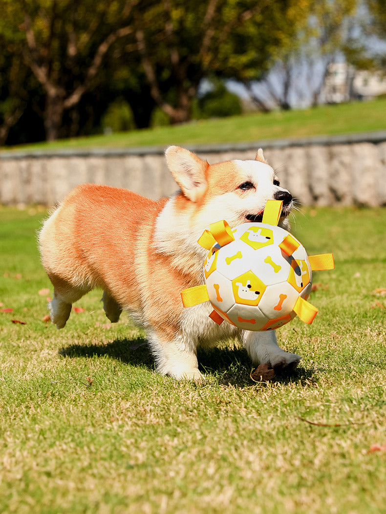 d52e215b34e631478b3e4980eb278d4
